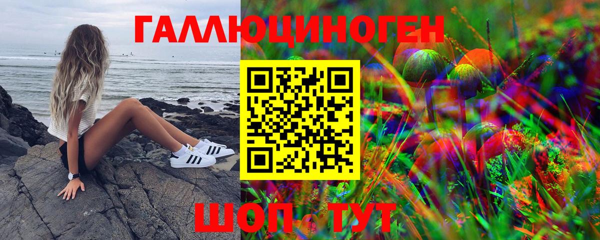 Галлюциногенные грибы прущие грибы Петрозаводск